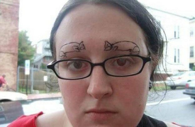 sourcils chat