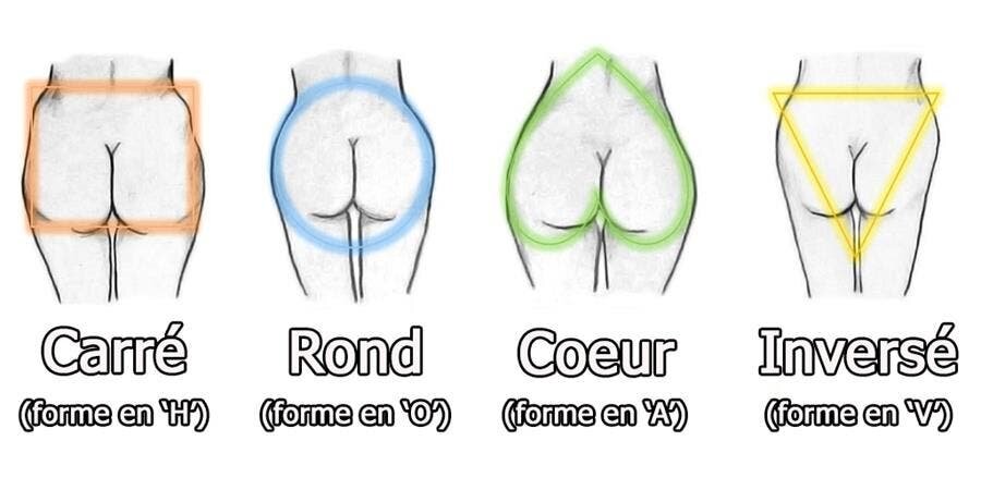 Formes des fesses en dessin