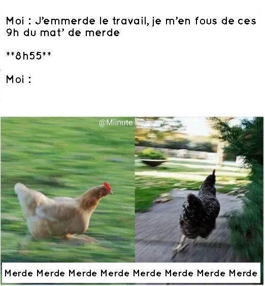 poule, merde, retard