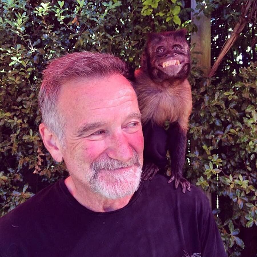 Robin williams, dernière photo