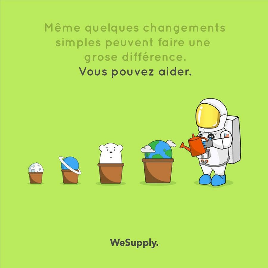 illustration, WeSupply, ours, problèmes environnementaux