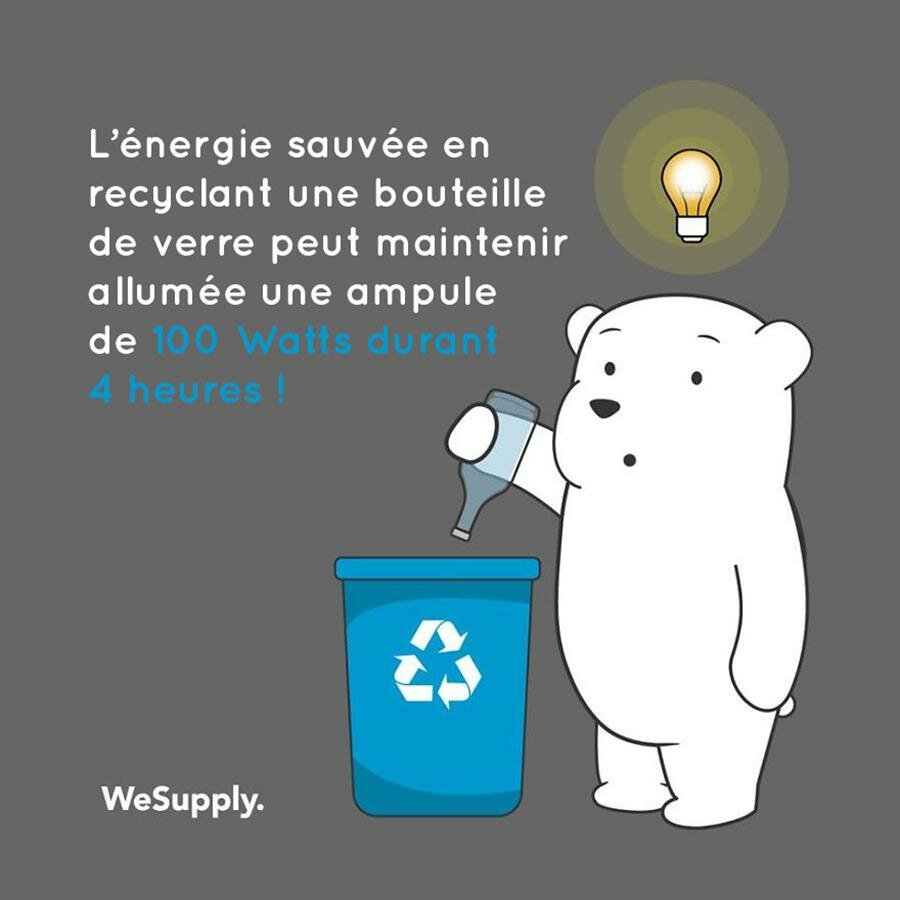 illustration, WeSupply, ours, problèmes environnementaux