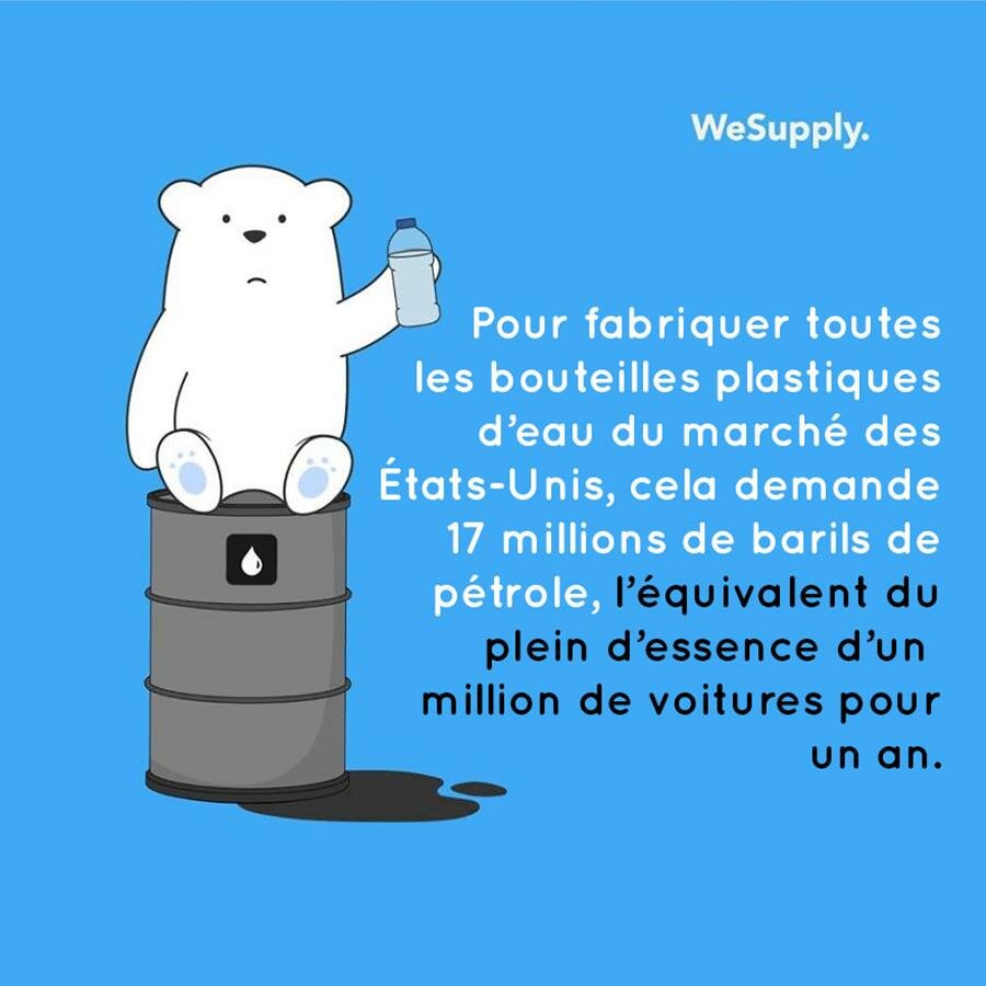 illustration, WeSupply, ours, problèmes environnementaux