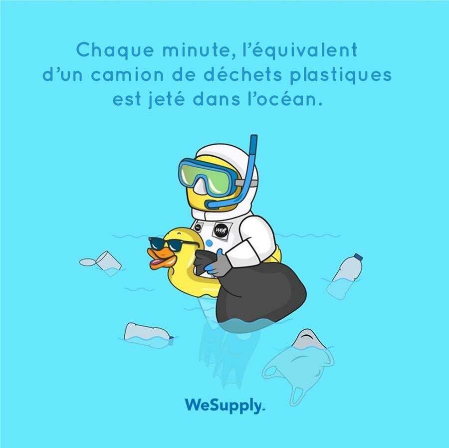 illustration, WeSupply, ours, problèmes environnementaux