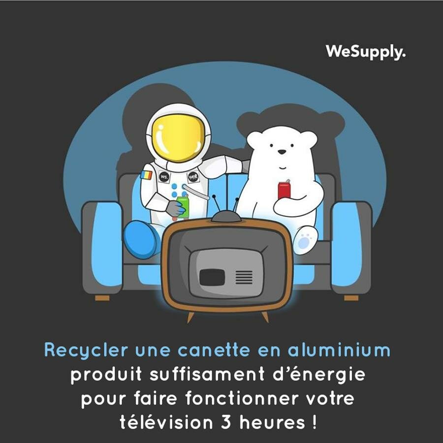 illustration, WeSupply, ours, problèmes environnementaux