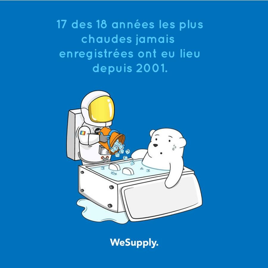 illustration, WeSupply, ours, problèmes environnementaux