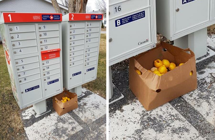 boîte, citrons, boîtes aux lettres