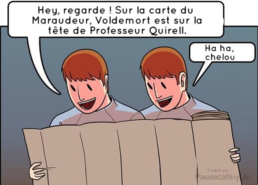 bd, frères weasley, bêtes