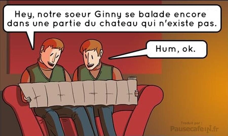 bd, frères weasley, bêtes