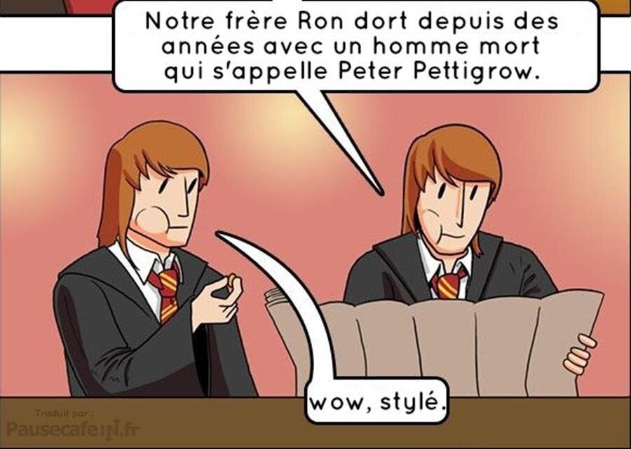 bd, frères weasley, bêtes