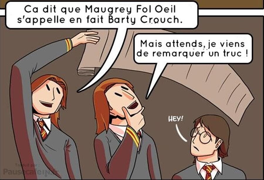 bd, frères weasley, bêtes