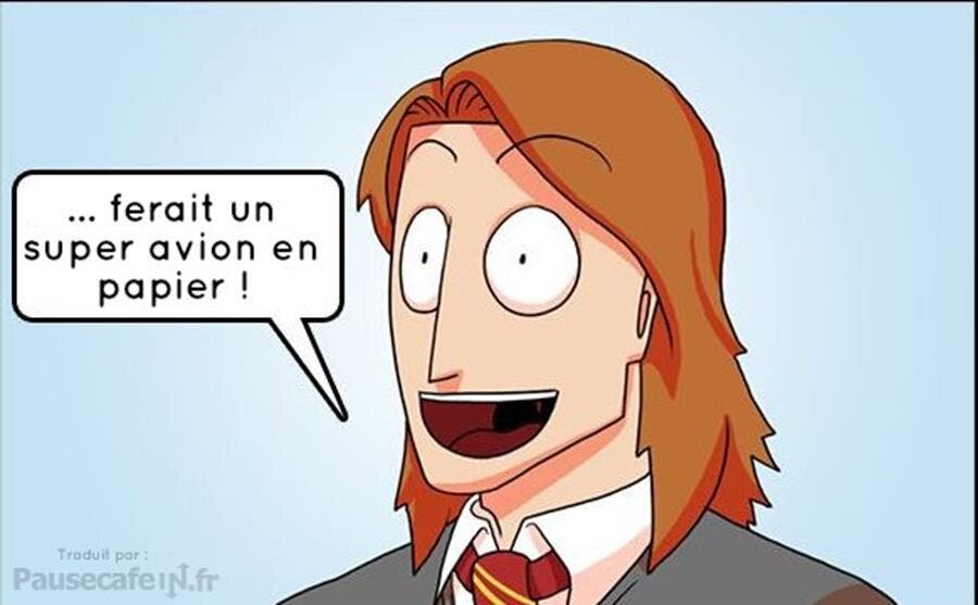 bd, frères weasley, bêtes