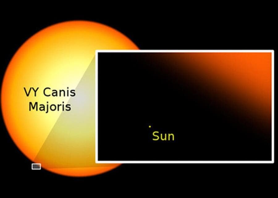 soleil, vy canis