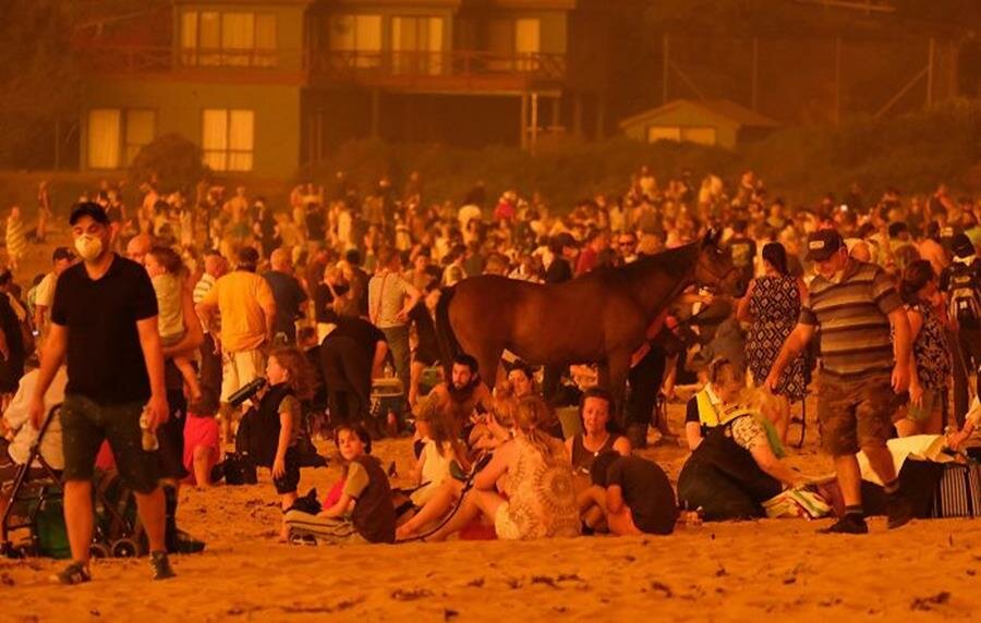 plage, personnes