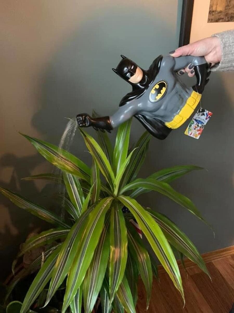 arroser, plantes, arrosoir, batman