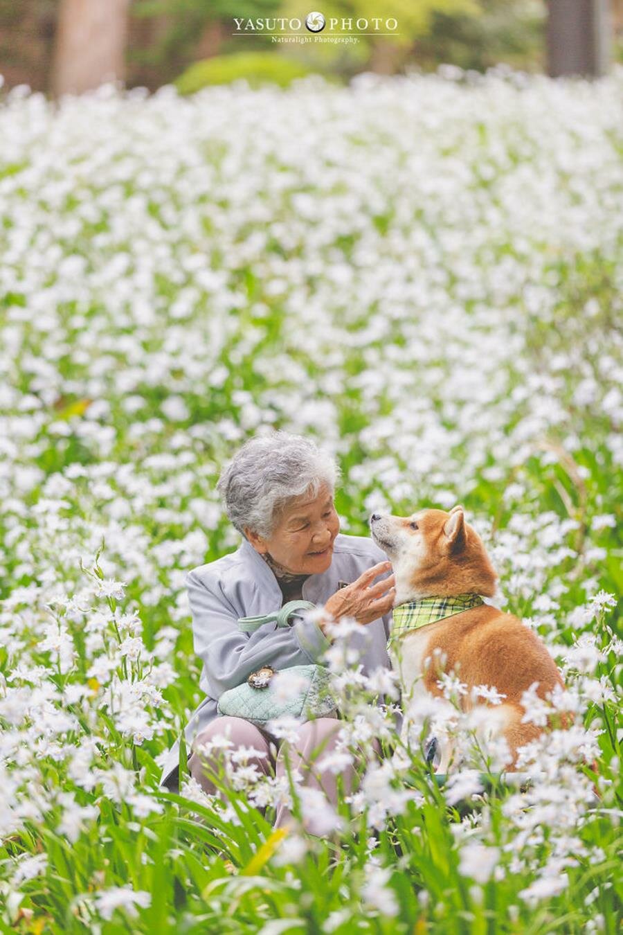 grand-mère, chien, adorable