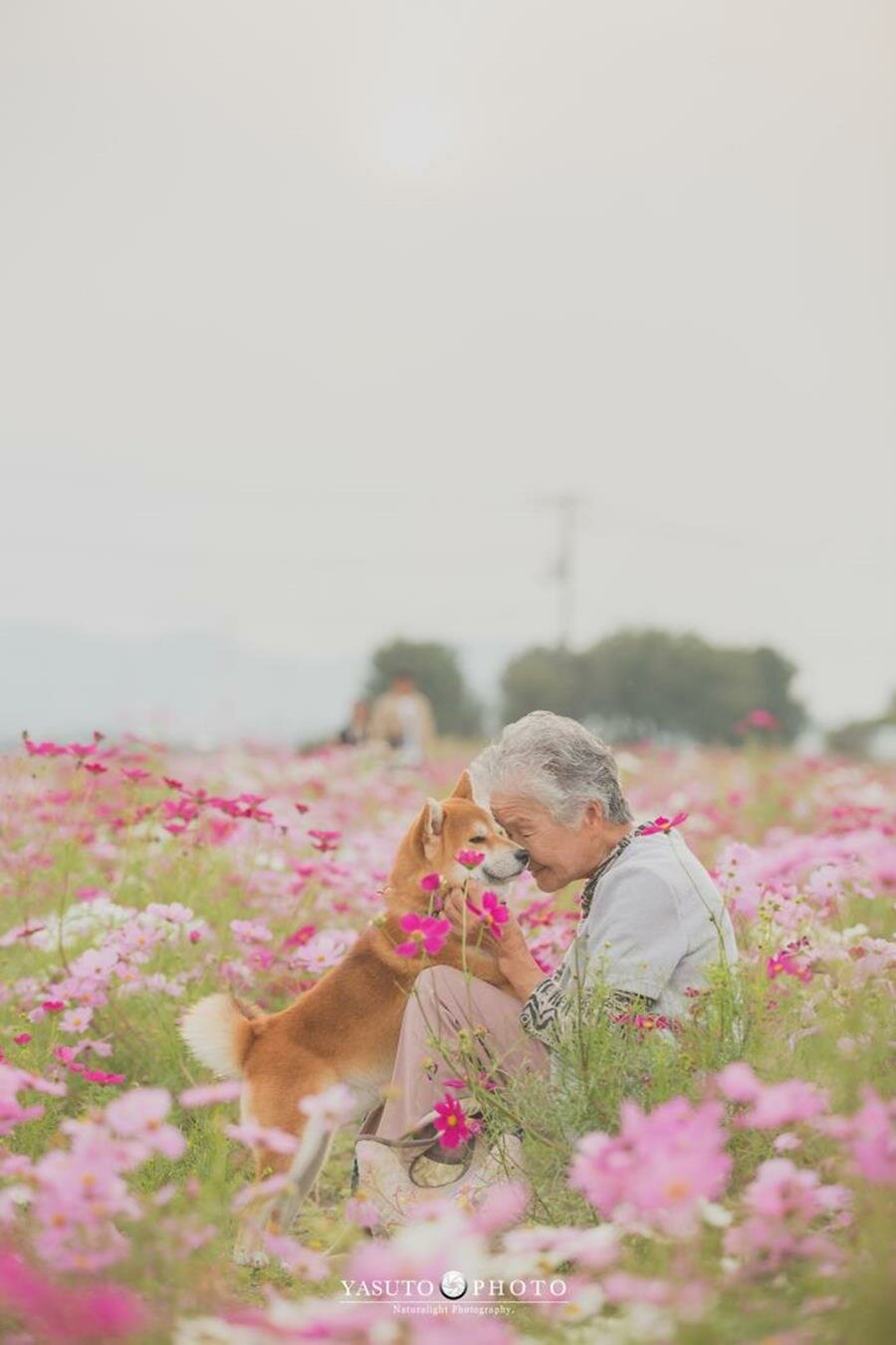 grand-mère, chien, adorable