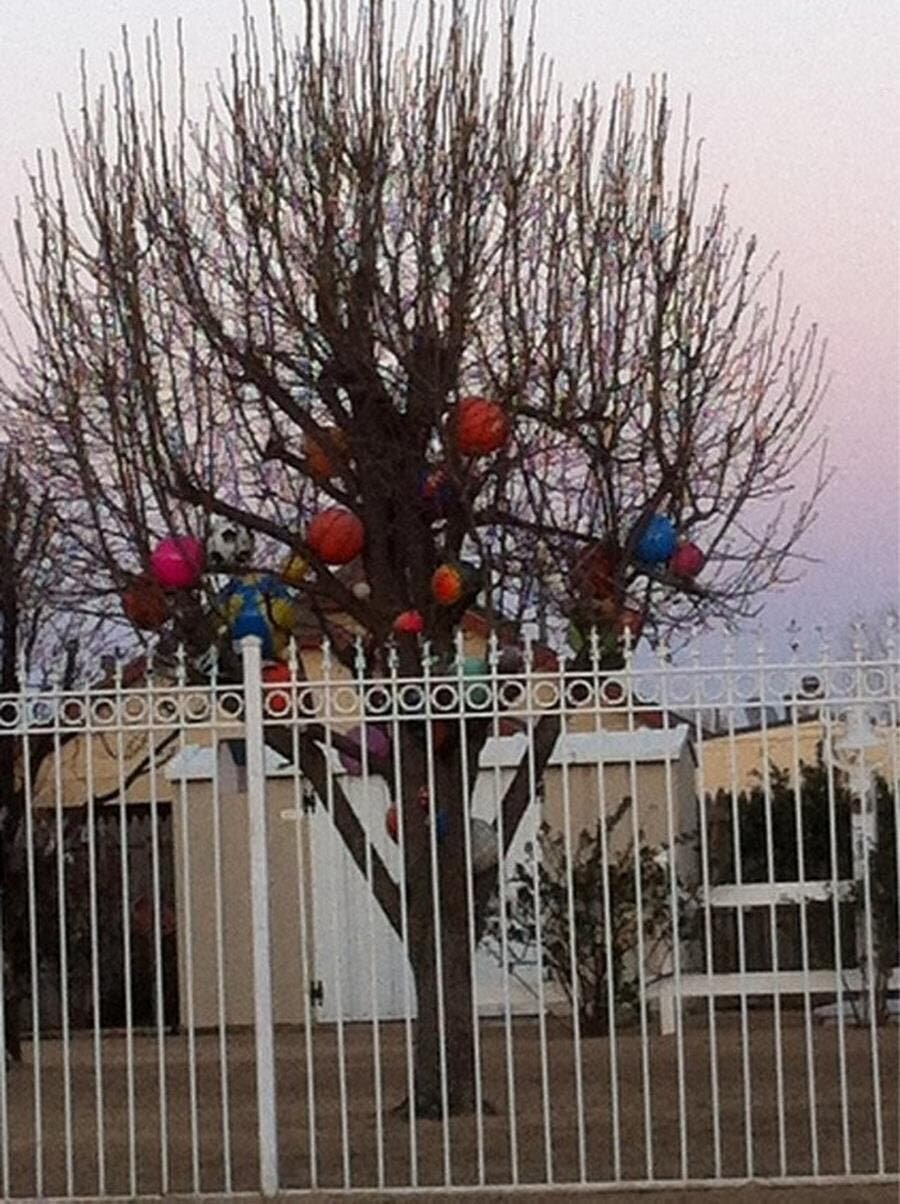 arbres, ballons, coincés