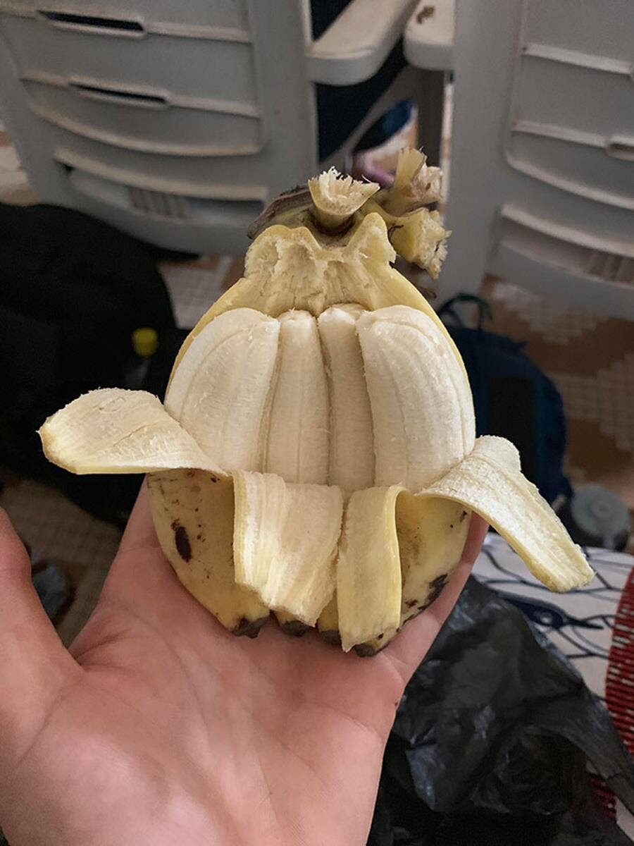 mini, bananes, quadruplé