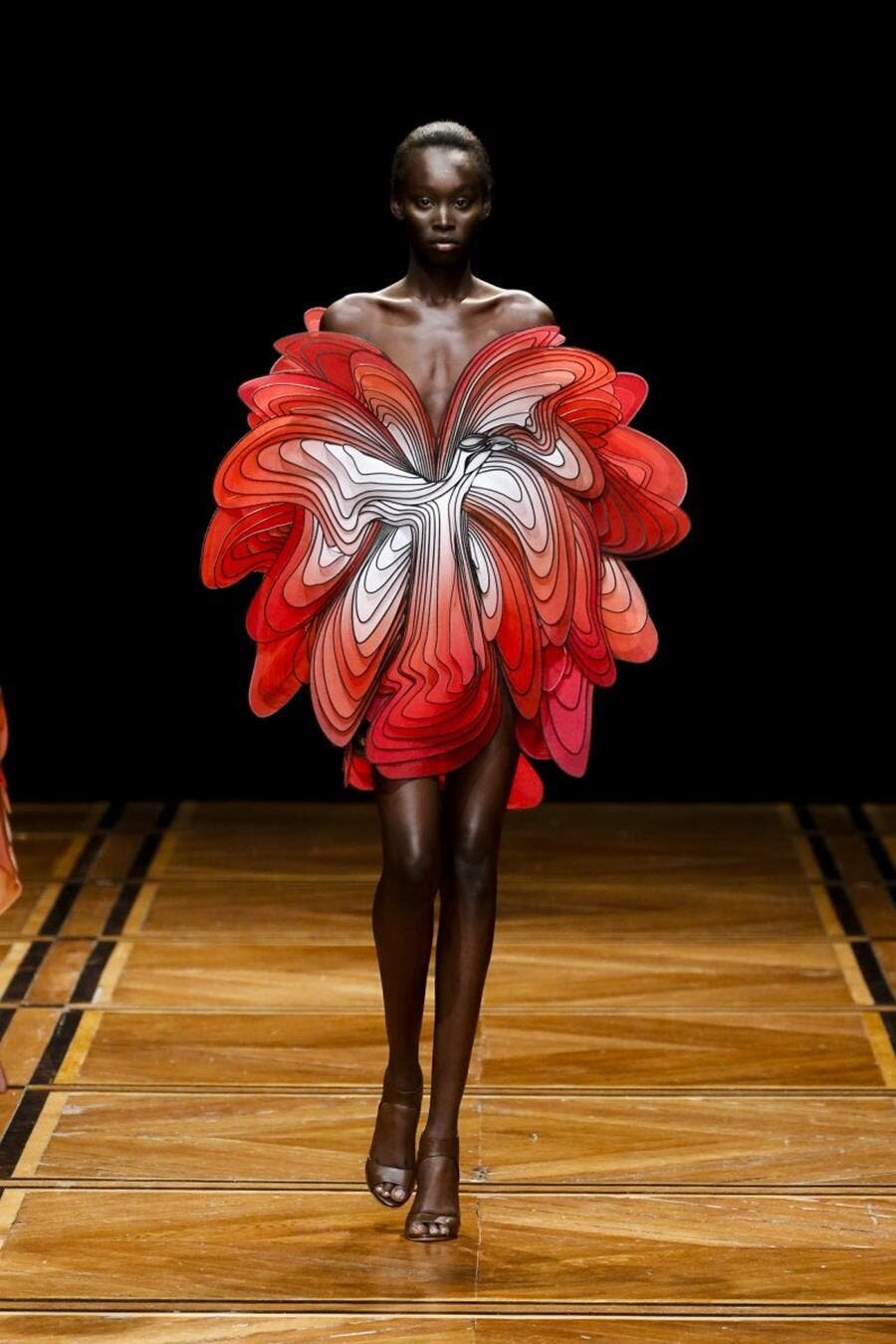 robe, haute couture, iris van herpen