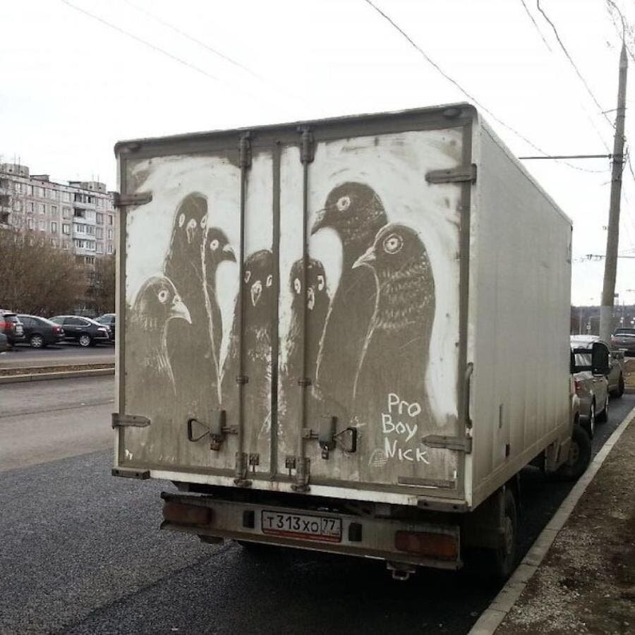 dessin, camion, arrière, russie, pigeons