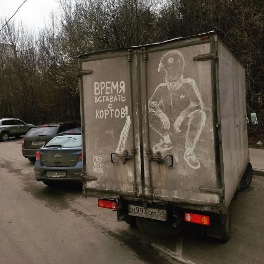 pigeon, man, homme, sweat, dessin, camion, arrière, russie