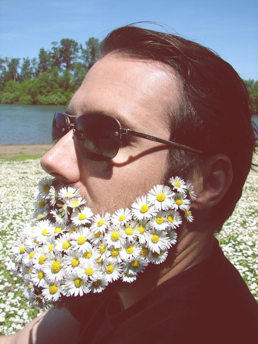 barbes, fleurie, homme, fleurs, floral, naturel