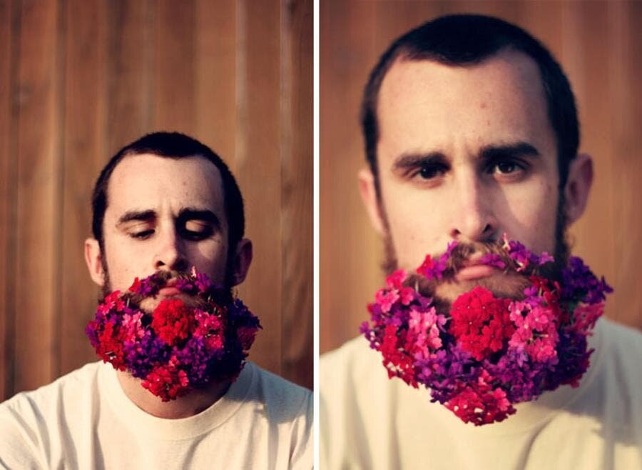 barbes, fleurie, homme, fleurs, floral, naturel