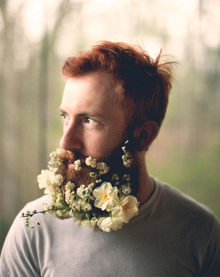 roux, barbes, fleurie, homme, fleurs, floral, naturel