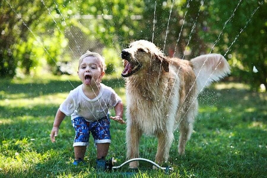 amusement, chien, fille, insolite, photo