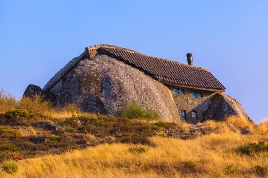 maison, symbiose, nature, insolite