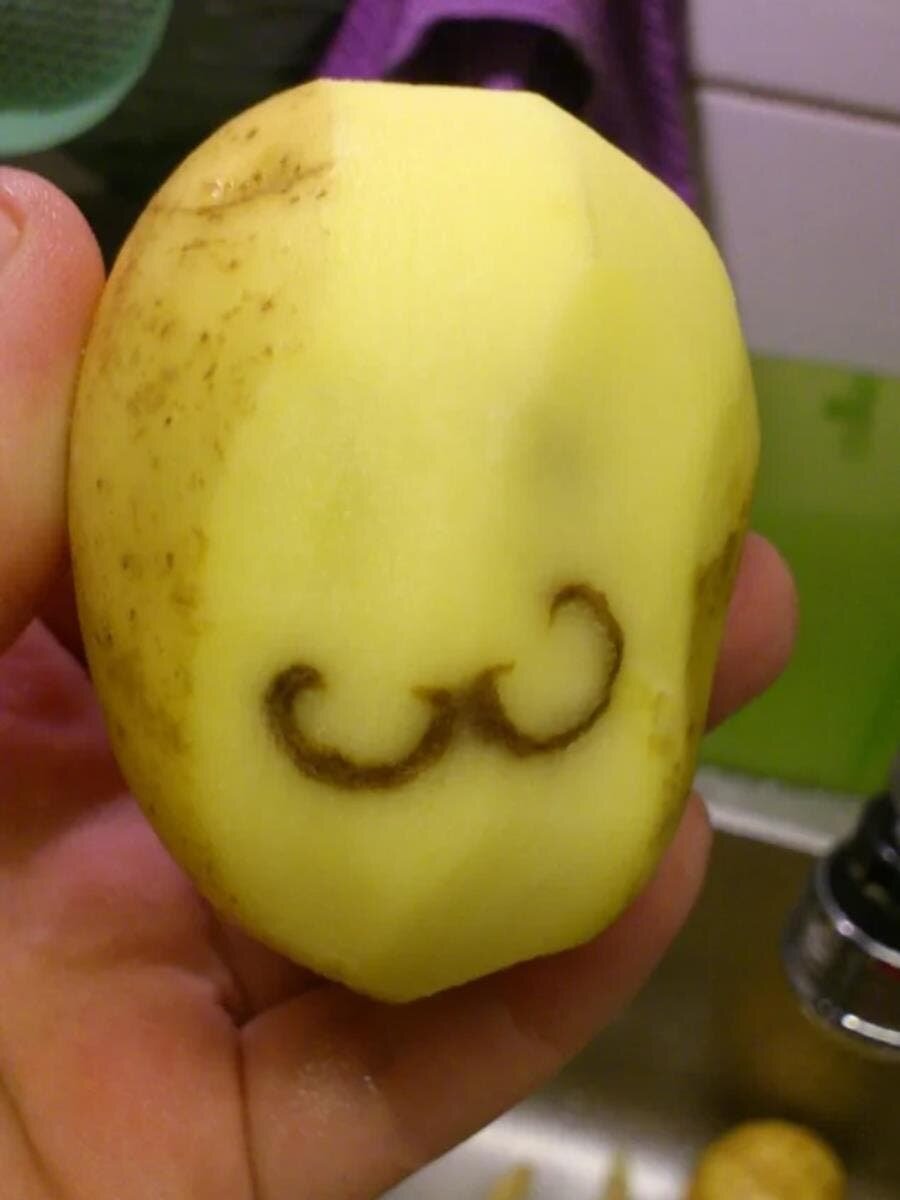 patate, moustache, épluché, abimée