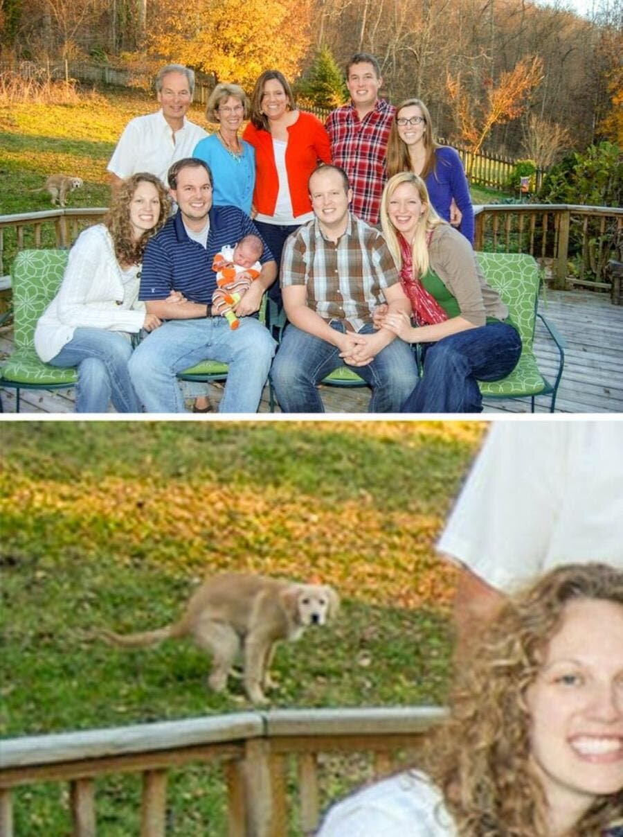 chien, photo de famille, insolite, wtf, arrière-plan