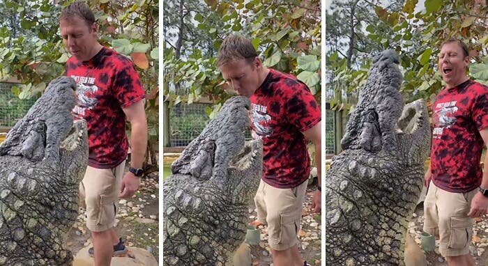 3 photos personne embrasse crocodile