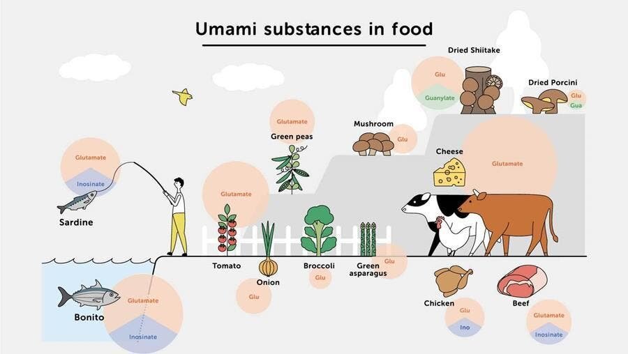 umami, où, aliments, glutamate, schéma, trouver