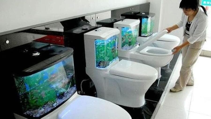 toilettes, poisson, insolite, humour, invention, aquarium