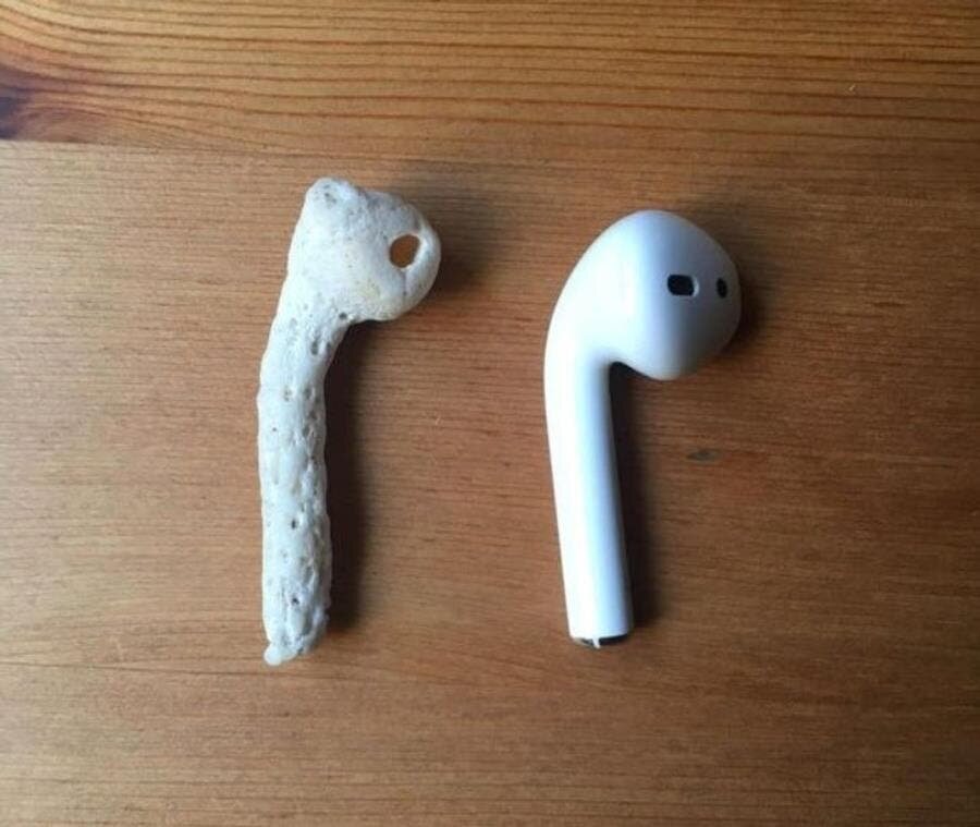 AirPod, écouteur, coquillage, forme, similaire