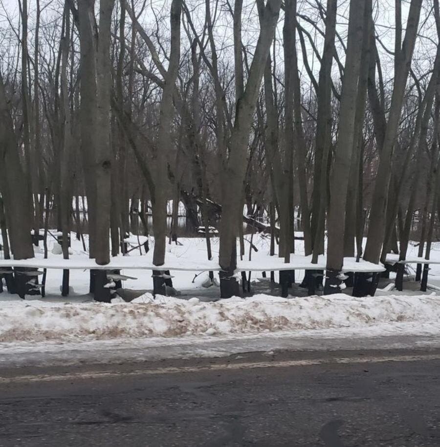 rivière, débordé, gelé, neige, plaque, arbre, forêt