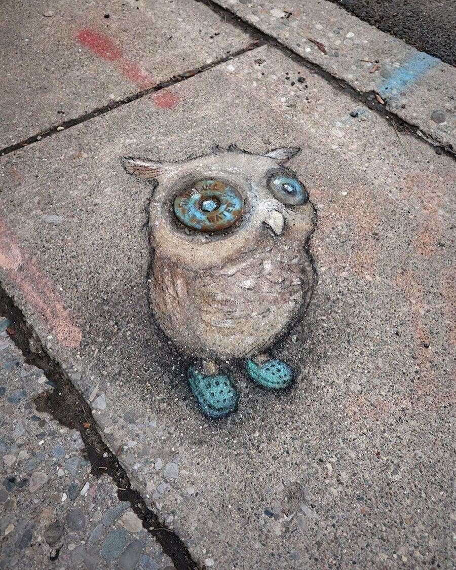 hibou dessin rue