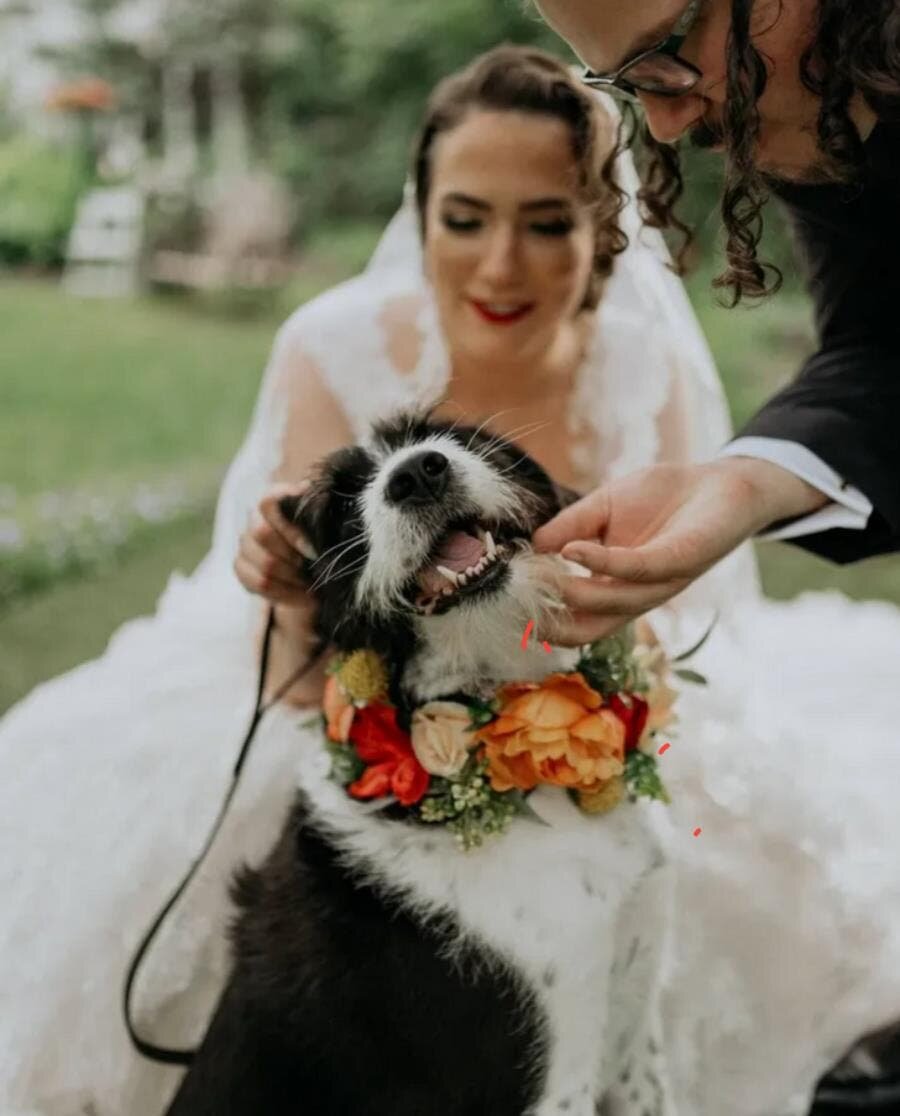 mariage, chine, fleurs, mignon, mariés