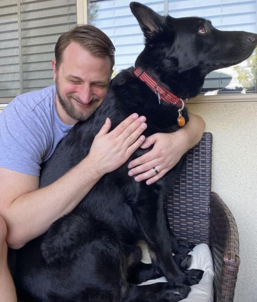 câlin, homme, chien, noir, heureux