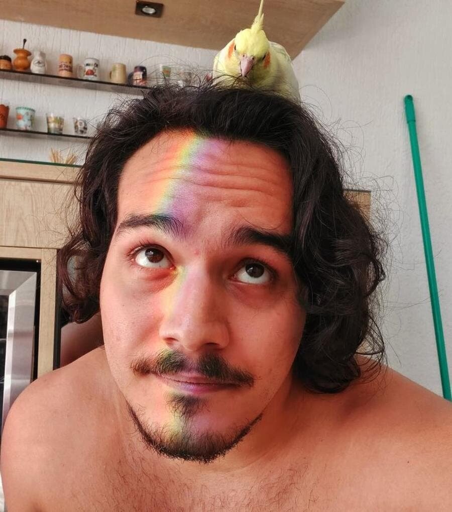 oiseau, cheveux, nid, arc en ciel, beau, homme