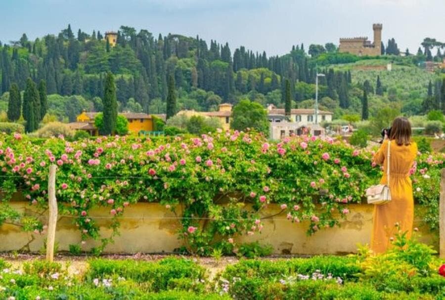 boboli, jardin, mur, fleur, femme, jolie