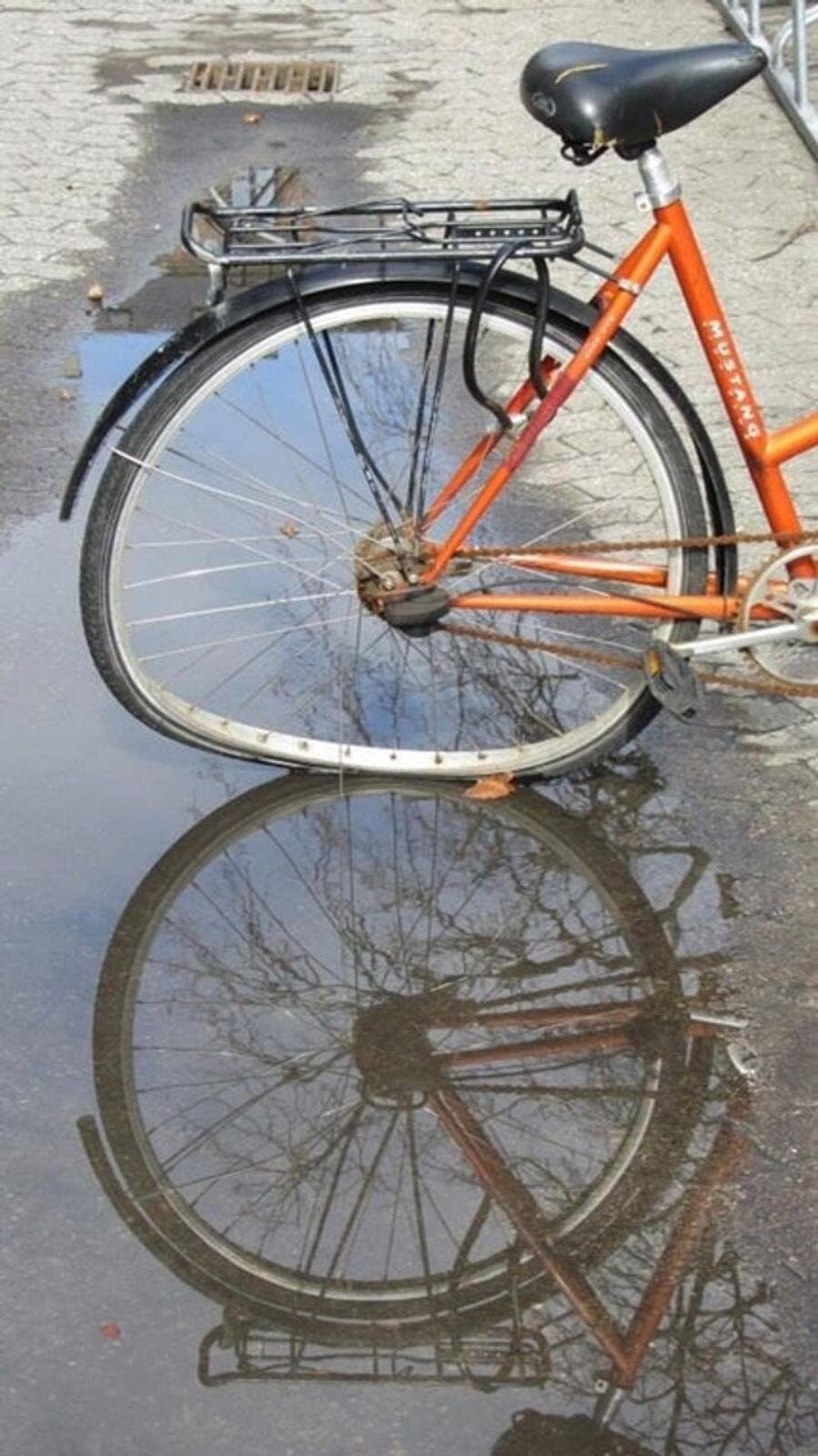 vélo, shrodinger, roue, cassée, flaque, reflexion