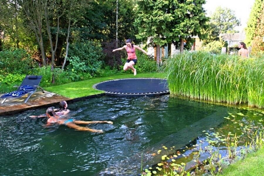 piscine, trampoline, eau, sauter