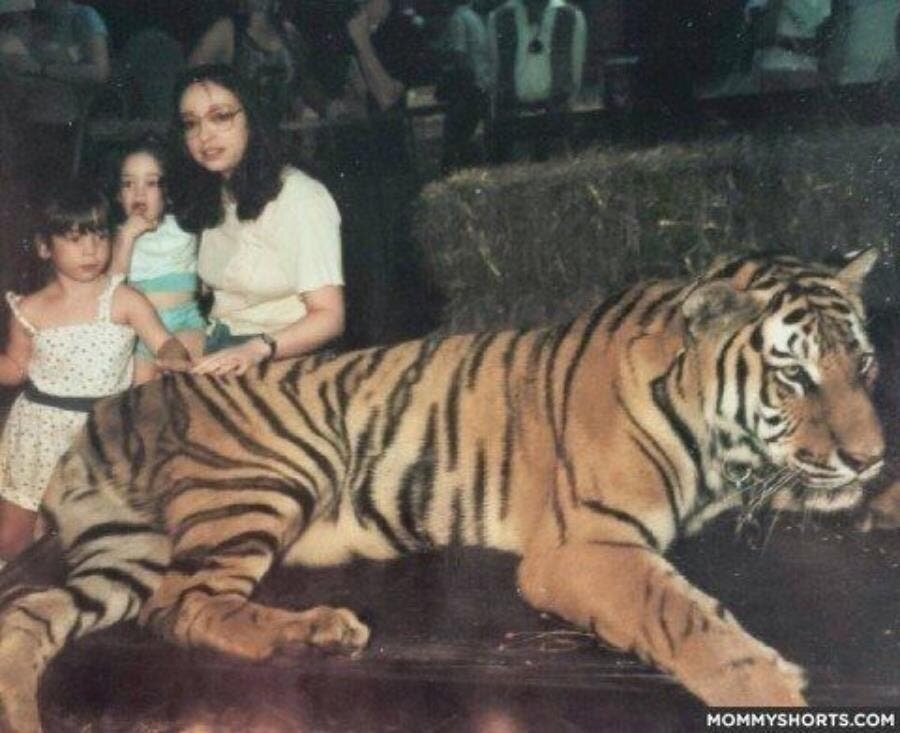 tigre, photo, touriste, enfants