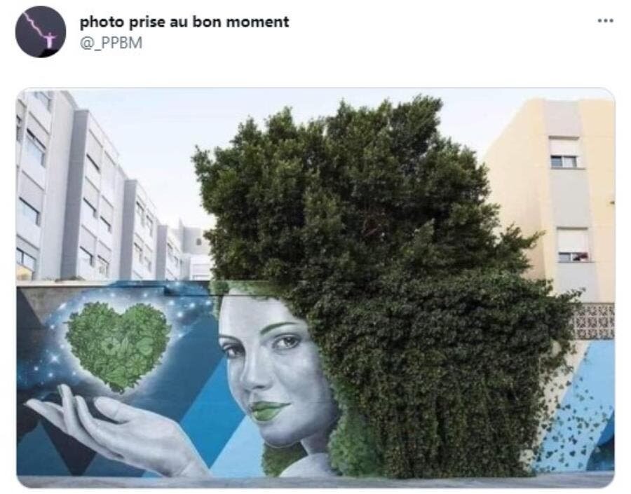 street art arbre visage feuilles