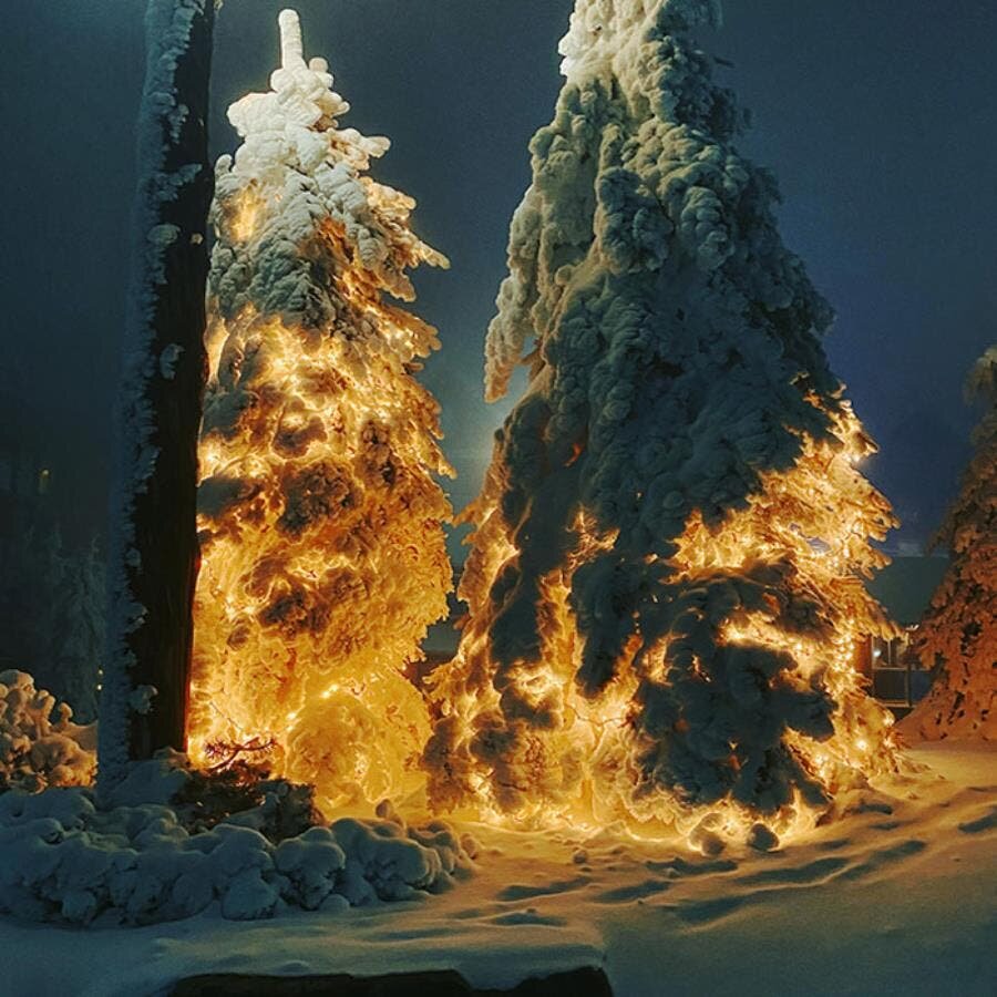 fumée lumière arbre neige