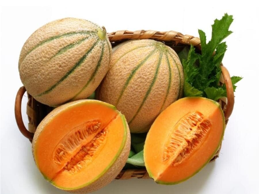 melon traits