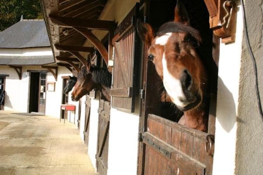 cheval, centre, équestre, box, bâtisse 